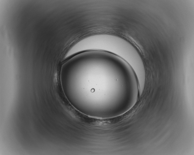 X0000116430117200912081532