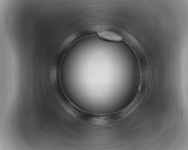 X0000116430120200912081532
