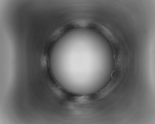 X0000116430122200912081532