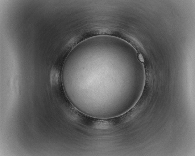 X0000116430123200912081532