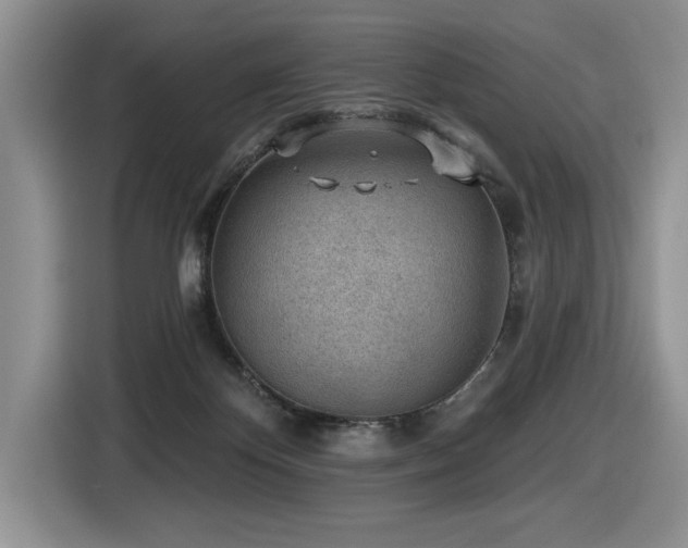 X0000116430124200912081532