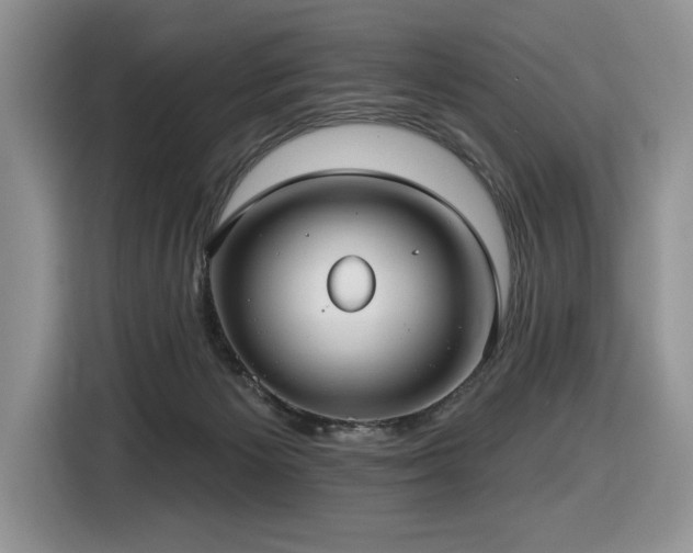X0000116430125200912081532