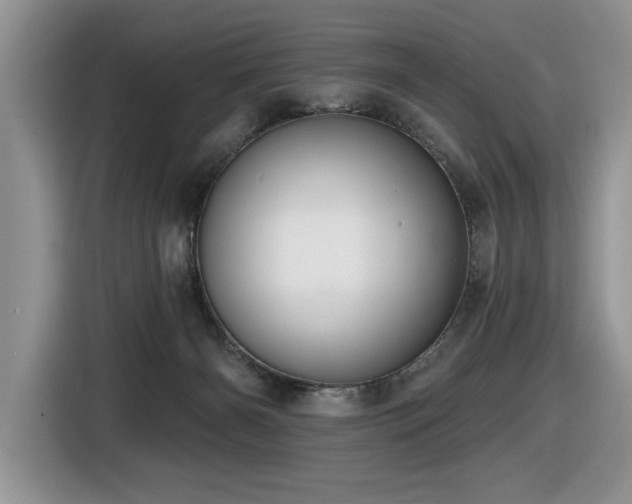 X0000116430126200912081532