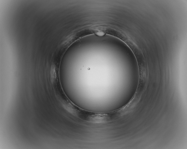 X0000116430128200912081532