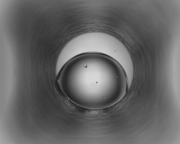 X0000116430129200912081532