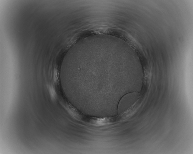 X0000116430130200912081532