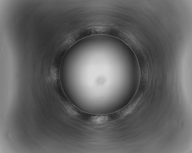X0000116430135200912081532