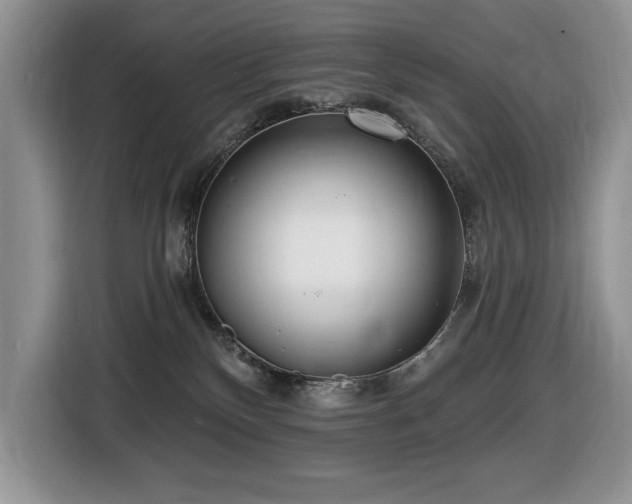 X0000116430136200912081532