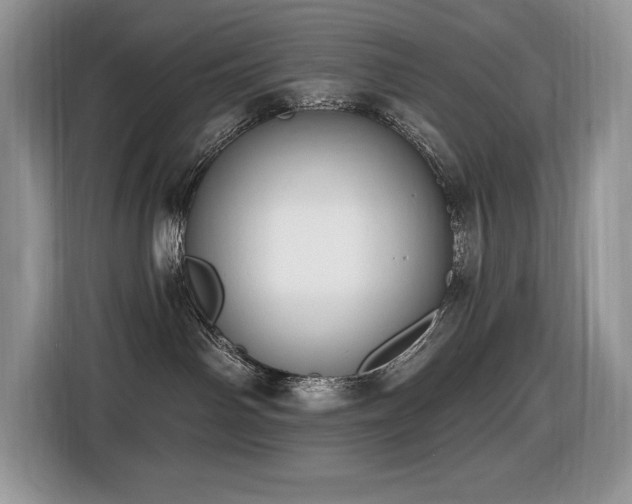 X0000116430142200912081532
