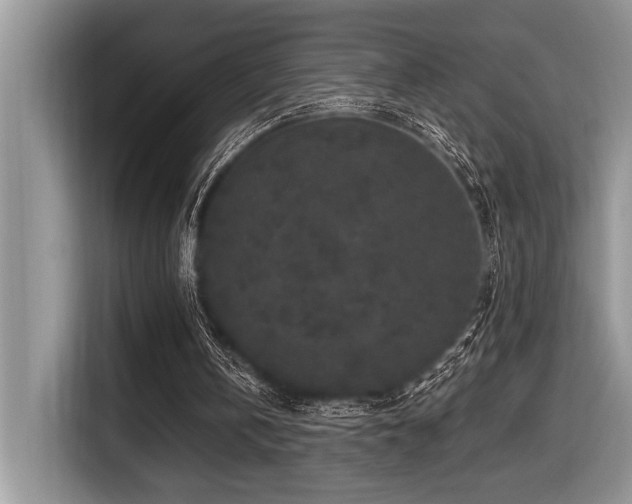 X0000116430146200912081531