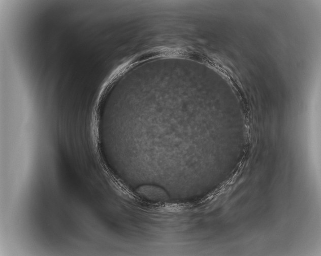 X0000116430149200912081532