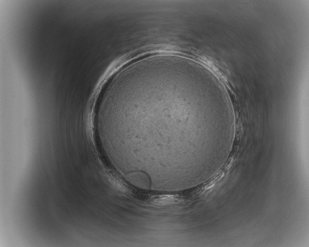 X0000116430151200912081532
