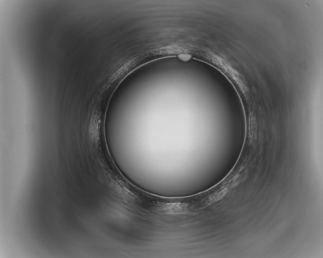 X0000116430153200912081532