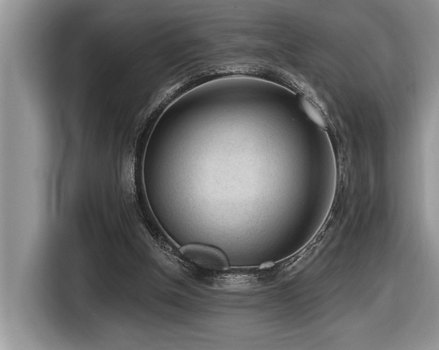 X0000116430154200912081532