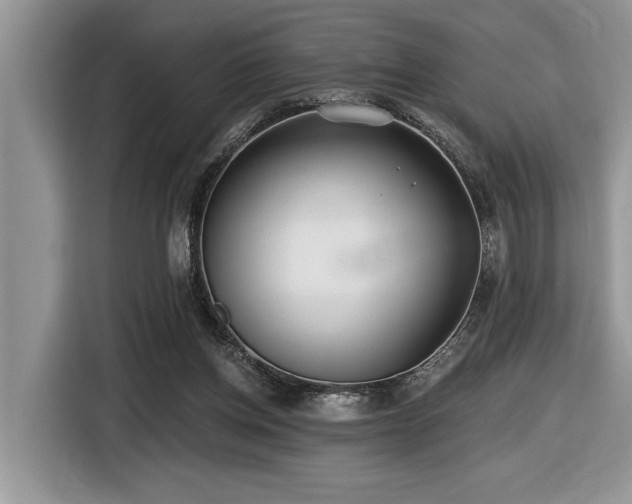 X0000116430158200912081532
