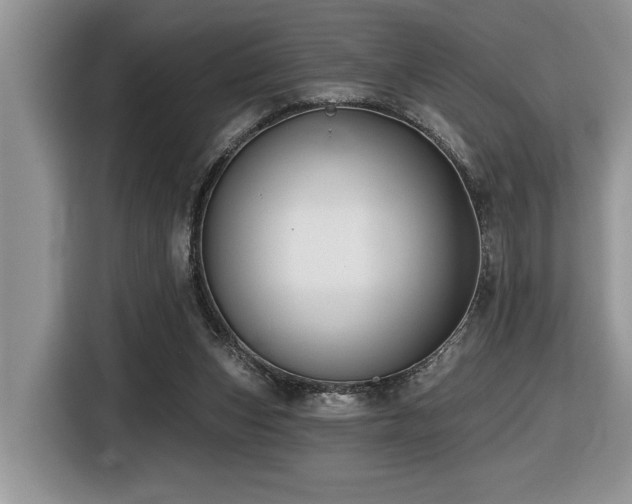 X0000116430159200912081532