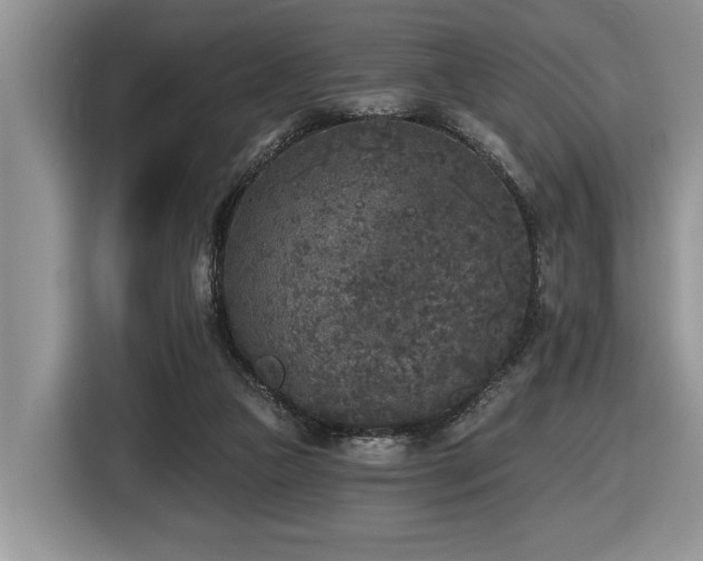 X0000116430161200912081532