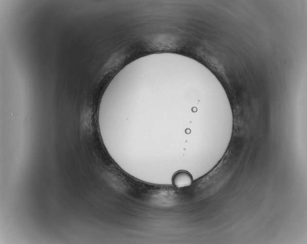 X0000116430162200912081532