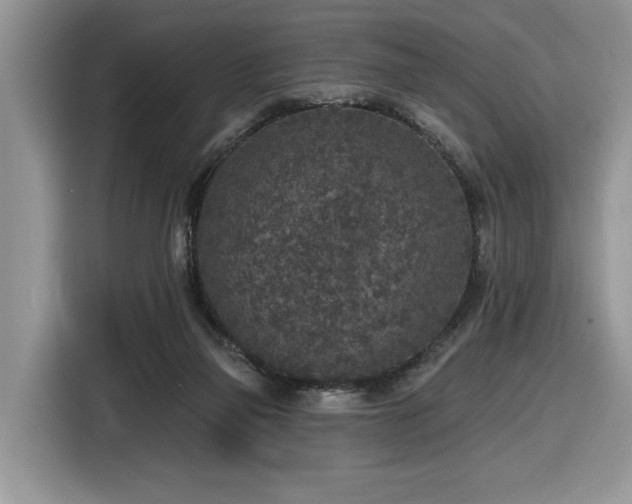X0000116430165200912081532