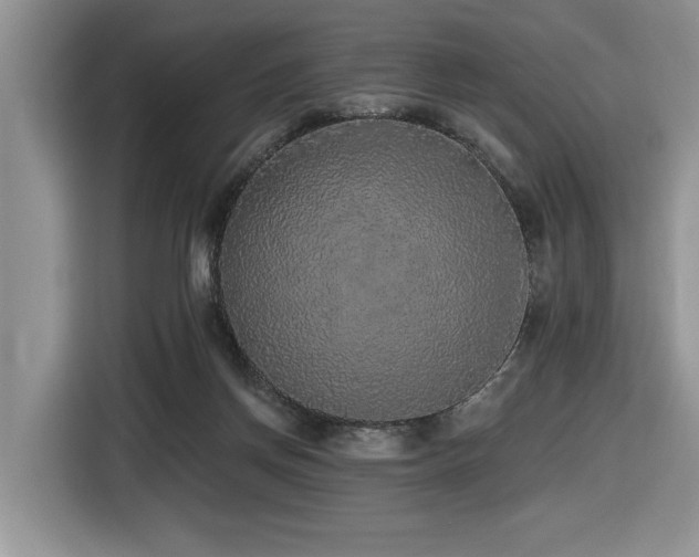 X0000116430166200912081532