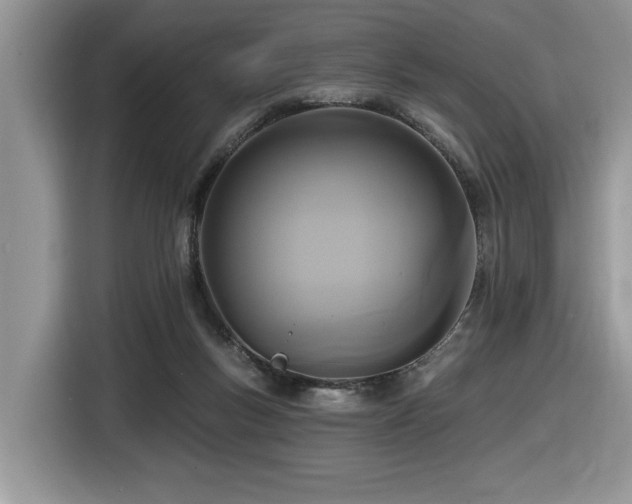 X0000116430167200912081532