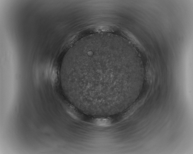 X0000116430169200912081532
