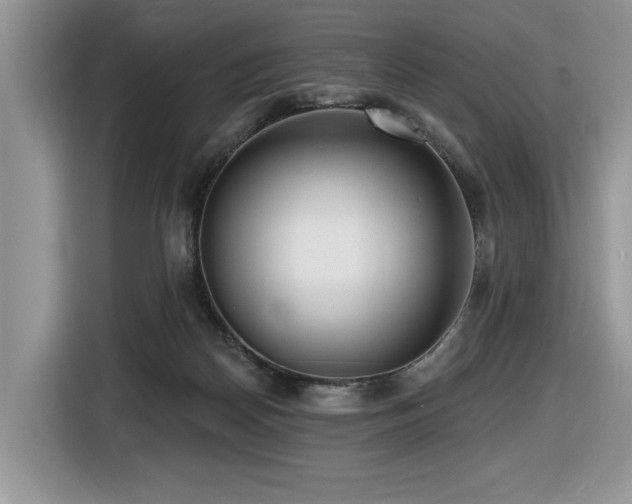 X0000116430170200912081532