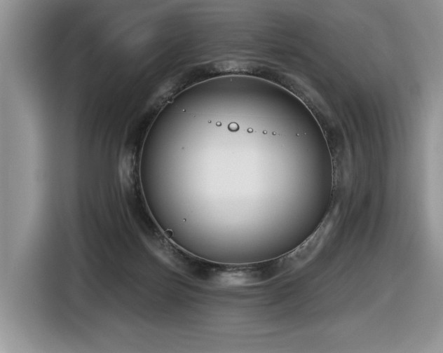 X0000116430171200912081532