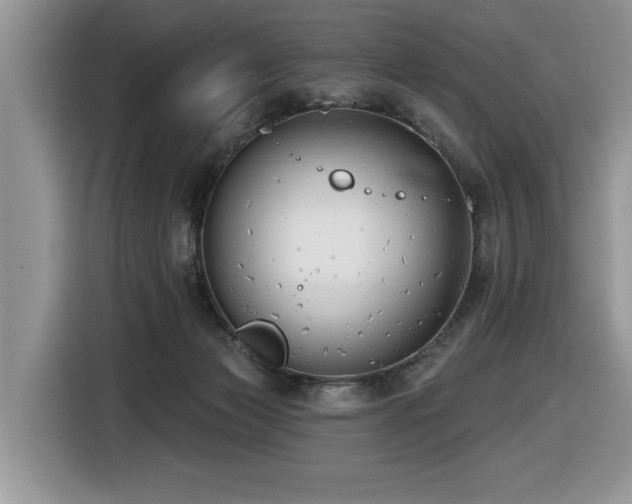 X0000116430173200912081532
