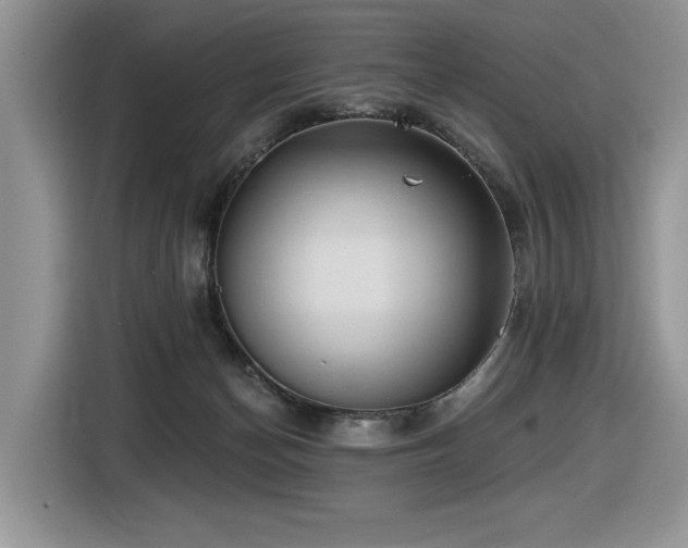X0000116430174200912081532