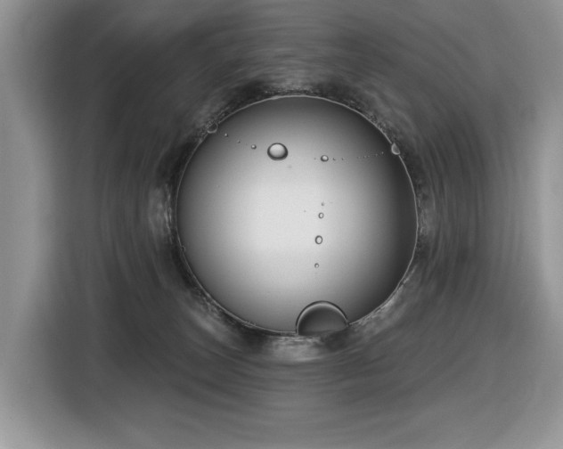 X0000116430179200912081532