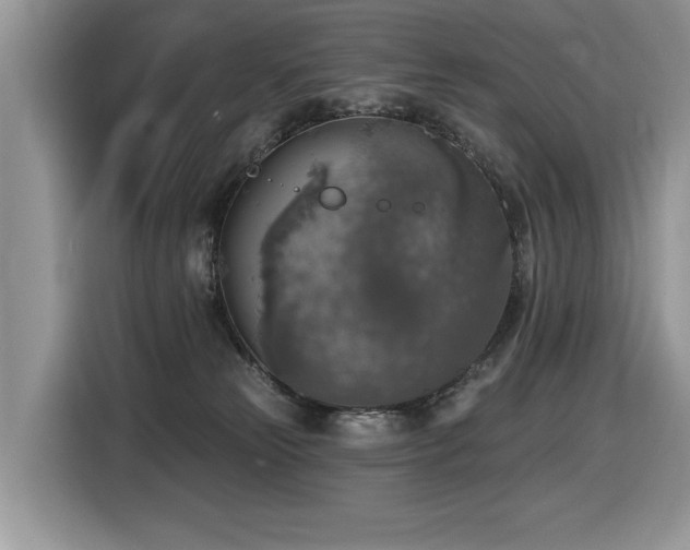 X0000116430181200912081532