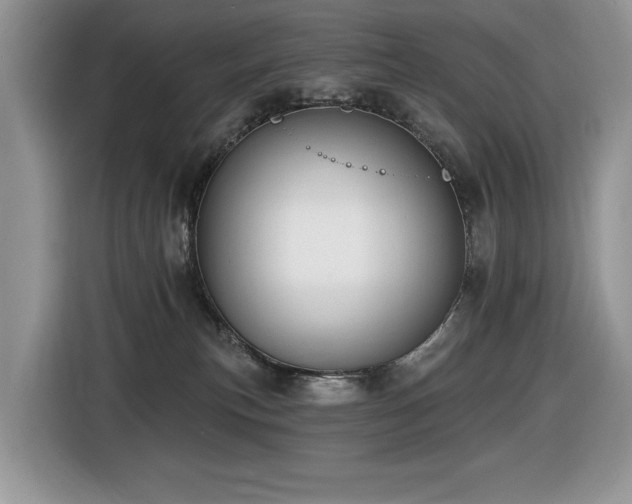 X0000116430183200912081532