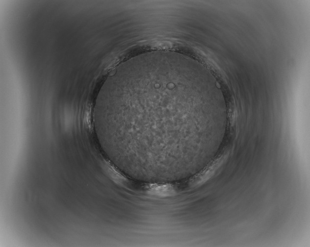 X0000116430185200912081532