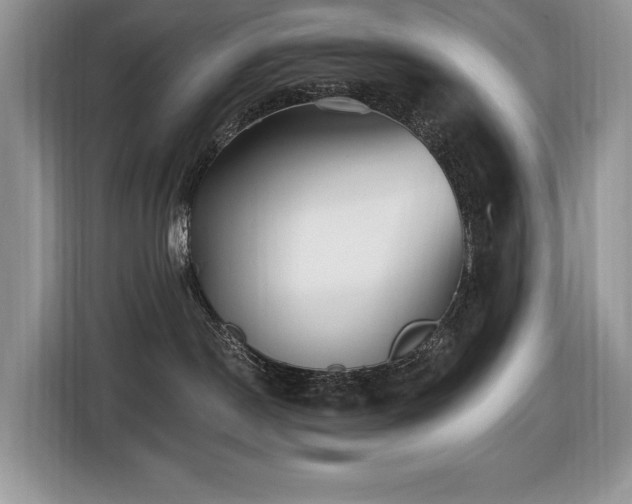 X0000116430190200912081532