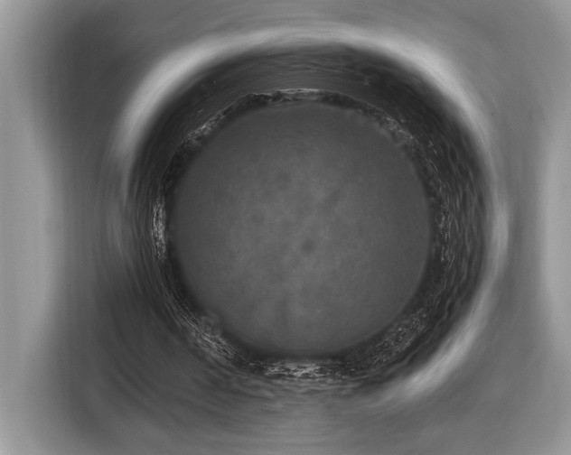 X0000116430194200912081531