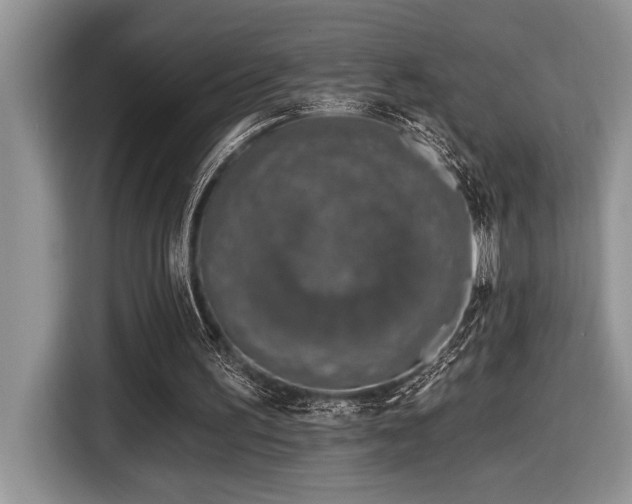X0000116430195200912081531