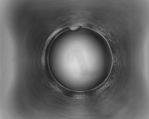 X0000116430200200912081531
