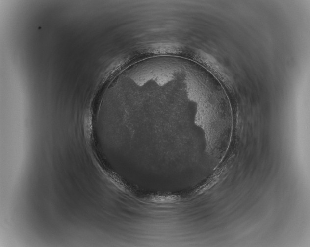 X0000116430202200912081531