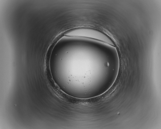 X0000116430203200912081531