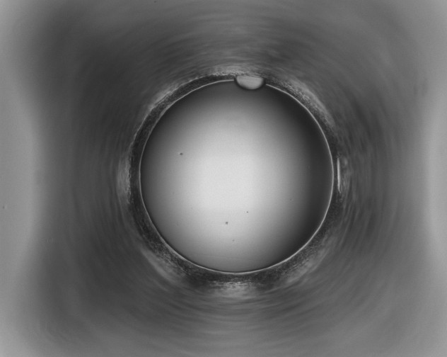 X0000116430204200912081531
