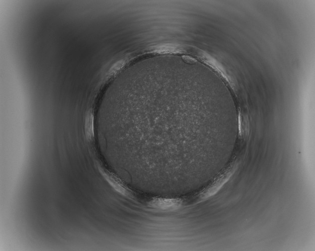 X0000116430205200912081531