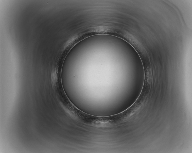 X0000116430208200912081531