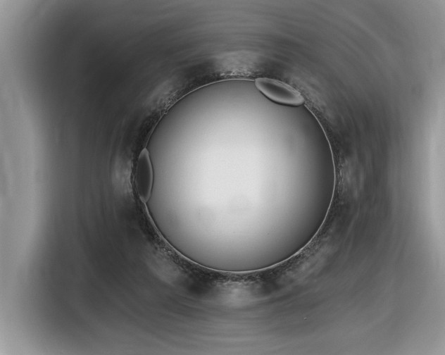 X0000116430209200912081531