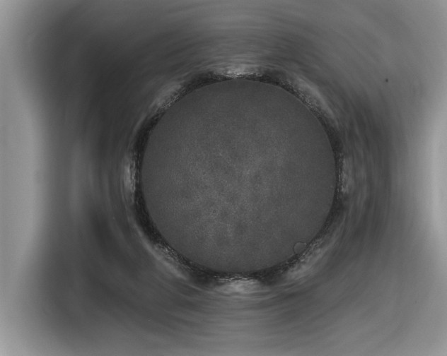 X0000116430210200912081531