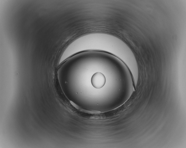 X0000116430211200912081531