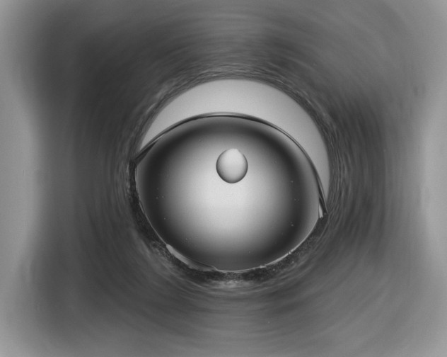 X0000116430212200912081531