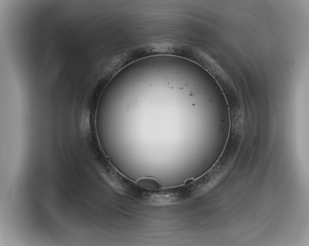 X0000116430213200912081531