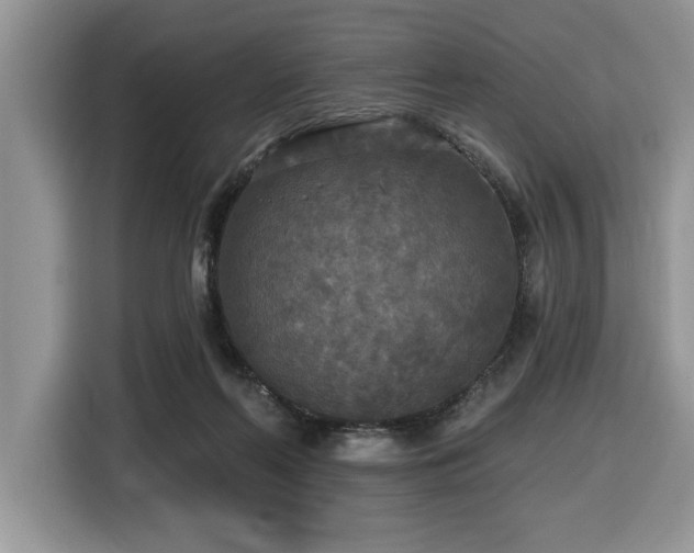 X0000116430214200912081531