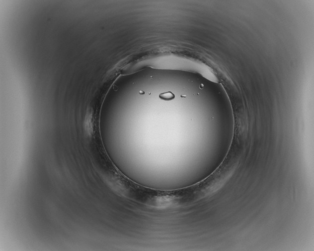 X0000116430216200912081531